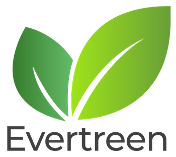 Evertreen plants a tree